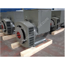 Permanent Magnet Brushless Home Electric Generator 6kw~600kw